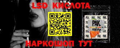индика Лесосибирск