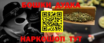 индика Лесосибирск
