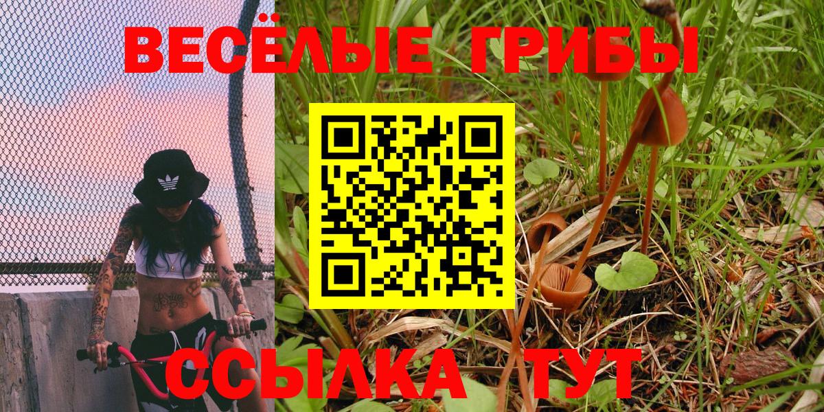 купить наркотики сайты  Галлюциногенные грибы Magic Shrooms  Вход с VPN  Дзержинский  Псилоцибиновые грибы MAGIC MUSHROOMS 